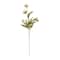 Cream Peony Stem by Ashland®